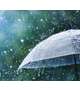 雨　雨…