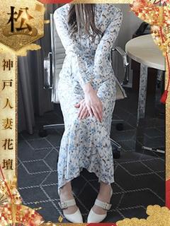 ひまわり【松】
