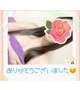 5日(月)のお礼( ⁎ᵕᴗᵕ⁎ )❤︎
