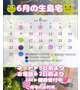 🐸6月の生島宅🐸