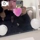 もかです、はじめまして♡