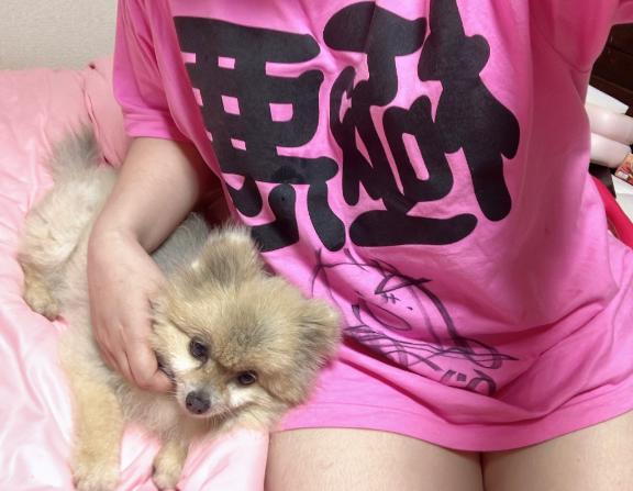 写メ日記サムネイル