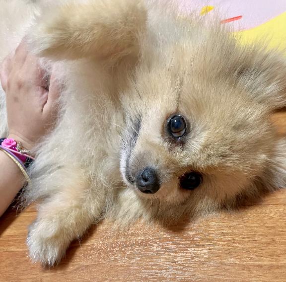 写メ日記サムネイル