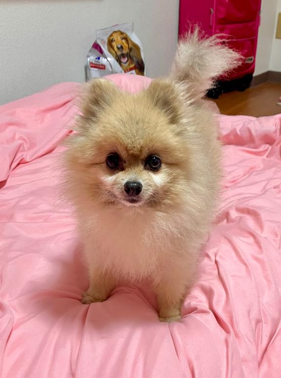 写メ日記サムネイル
