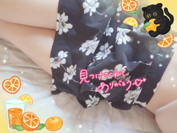 めぐる季節のなかで…🌴