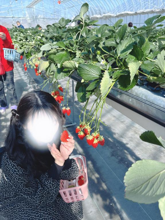 ありがとう♡♡