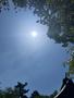 いつも心に太陽を✨