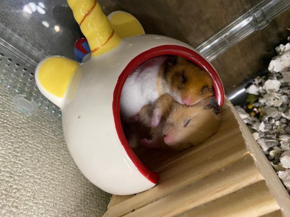 今から寝るけど起きたら出勤💕