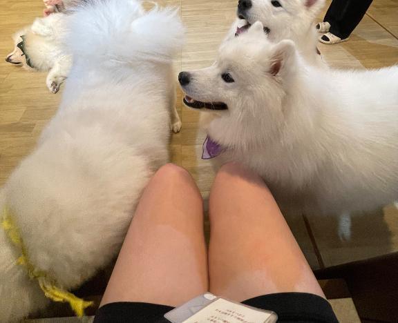 りんごの日常🍎