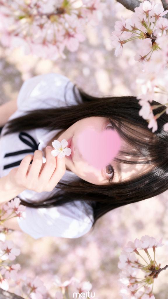 🧸.きっと今年も