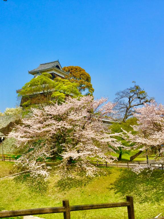 大切なふるさと