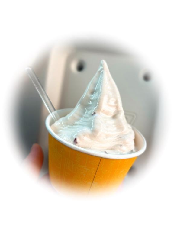 珍しいアイス〜