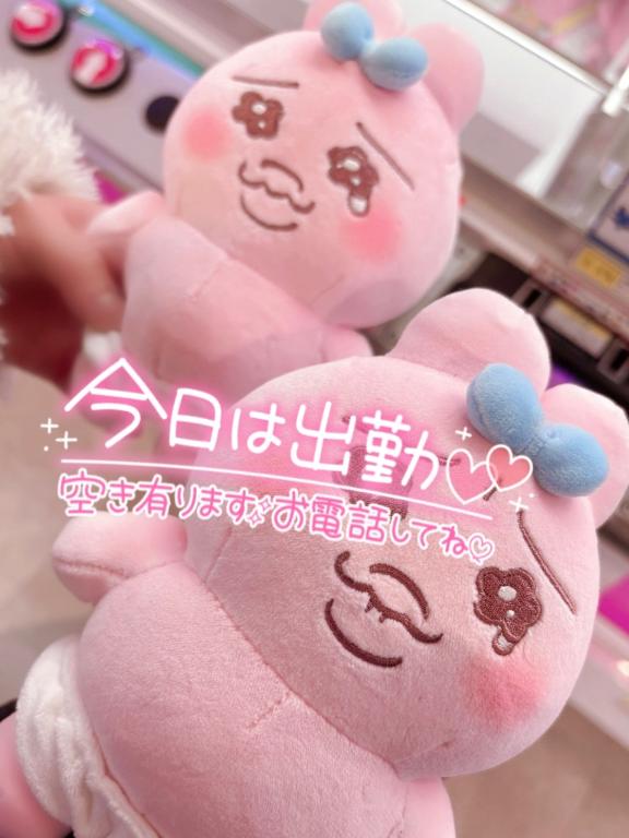 今日も🤍