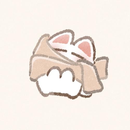 次の出勤について🐱