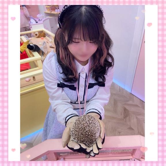 写メ日記サムネイル