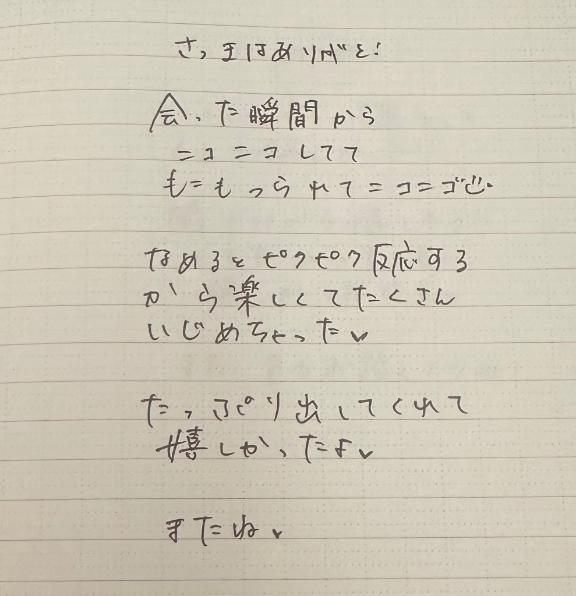 写メ日記サムネイル