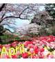 4月☆