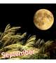 9月★