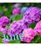 6月★