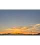 お裾分け、、、