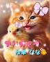 9月4日お礼💌Y様