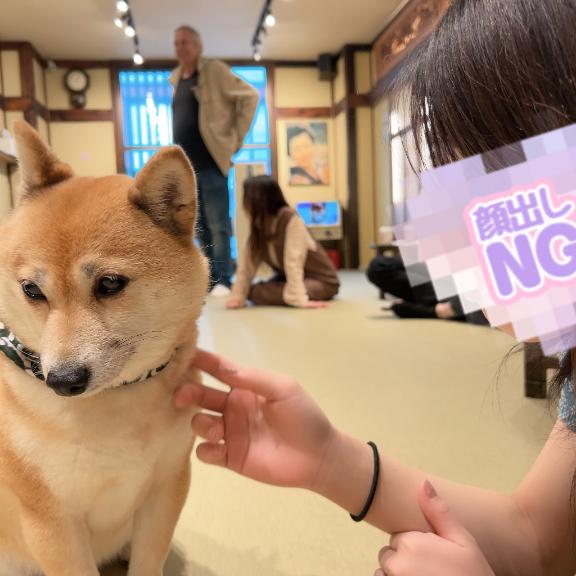 写メ日記サムネイル