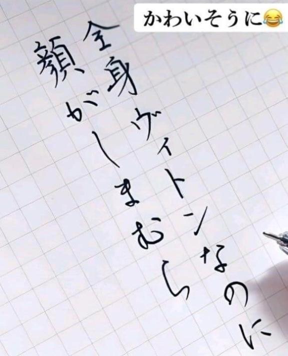 写メ日記サムネイル