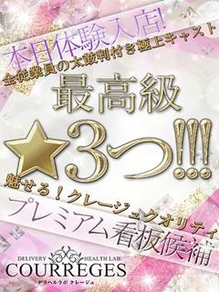 ひめ　※7/14体験予定