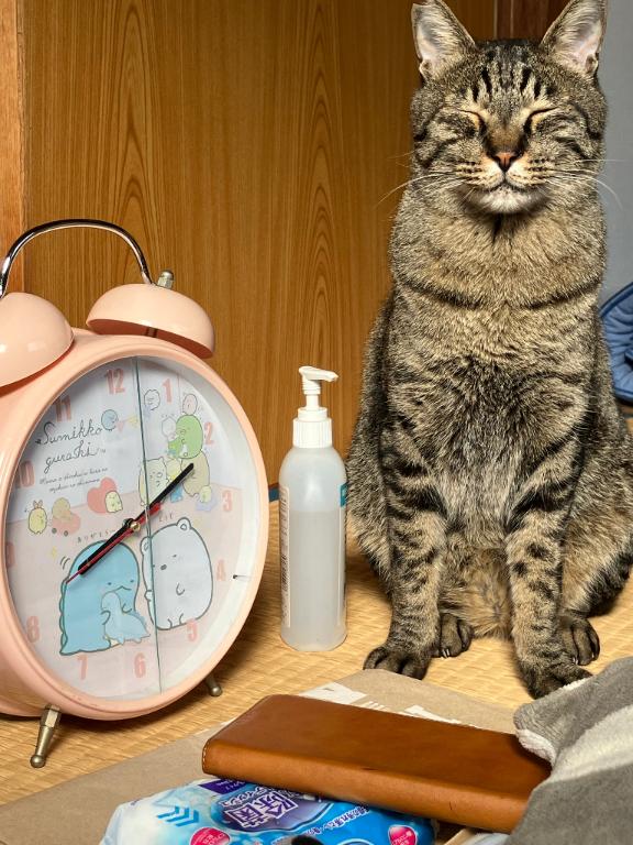 写メ日記サムネイル