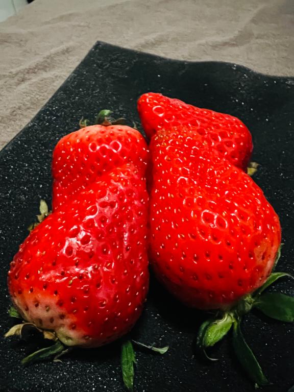 いちごパワー🍓