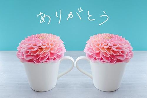 3日4日ご予約ありがとぉ