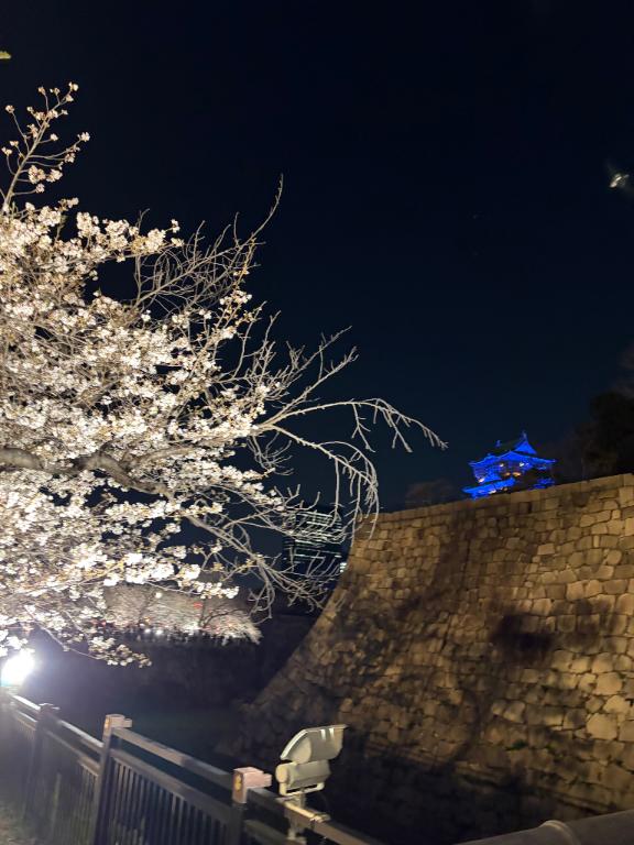 シフト後半🪽