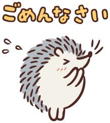 ごめんなさい🙇♀️