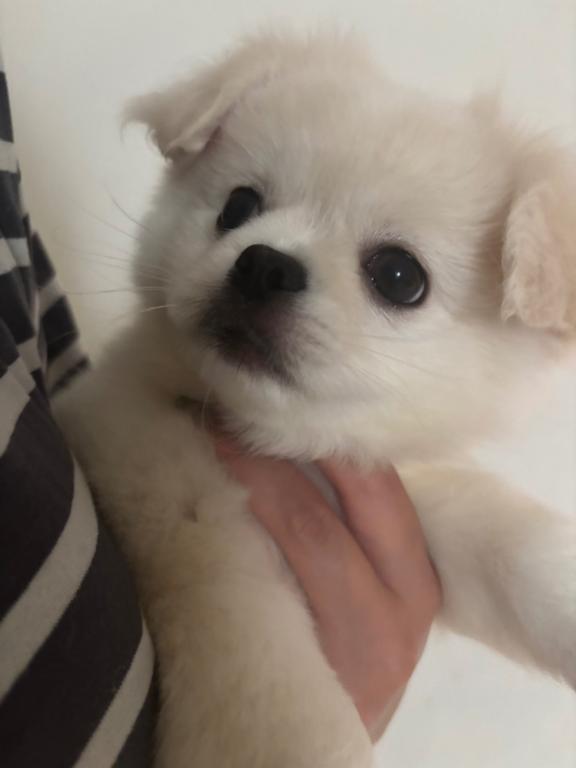 我が家に、、、✨