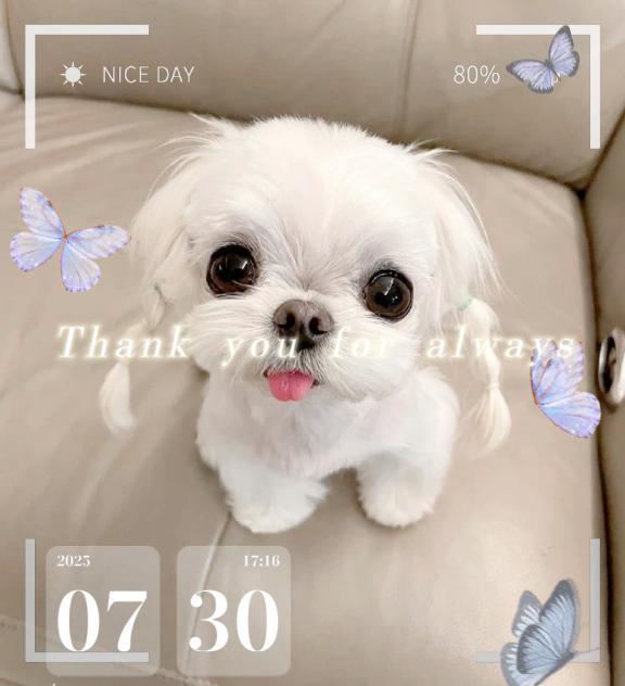 写メ日記サムネイル