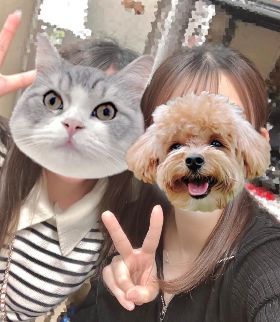 写メ日記サムネイル