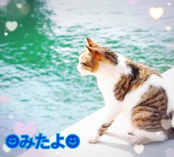 写メ日記サムネイル