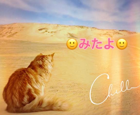 写メ日記サムネイル