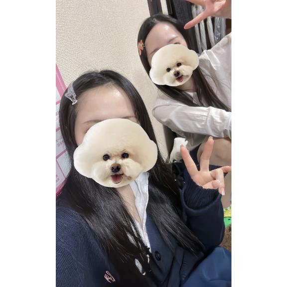 写メ日記サムネイル