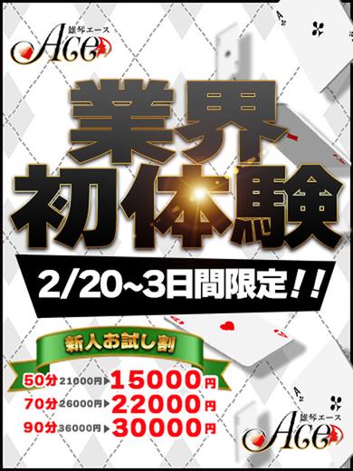 ACE（エース） 한국인 가능 소프랜드 CHIYURI