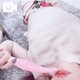 見たよ