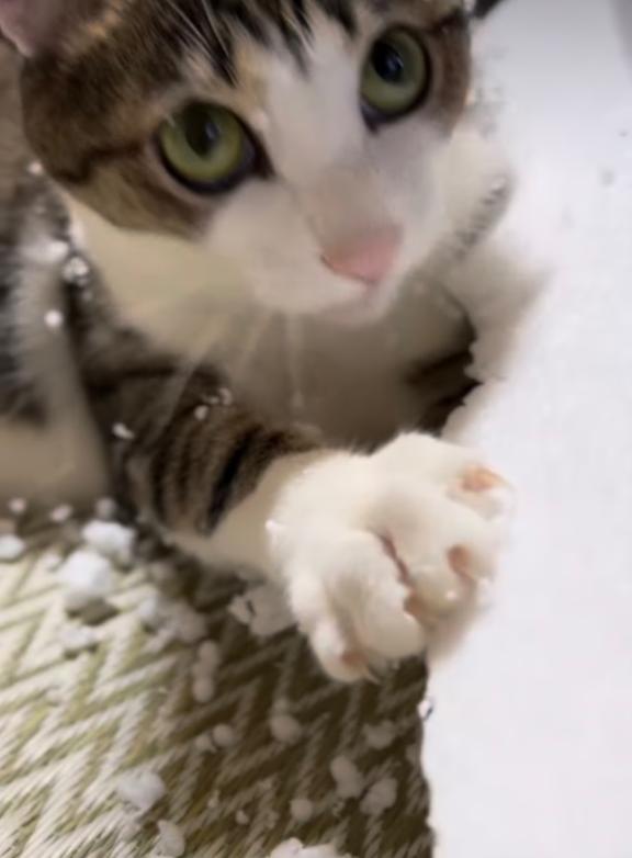 かわいぃ〜😍