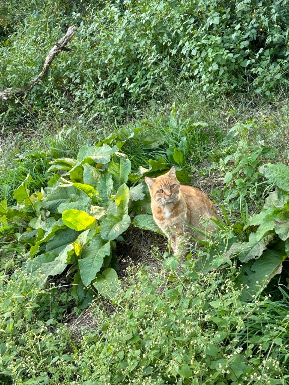 ありがとうございます(*´˘`*)