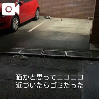 🎀5月の予定🎀