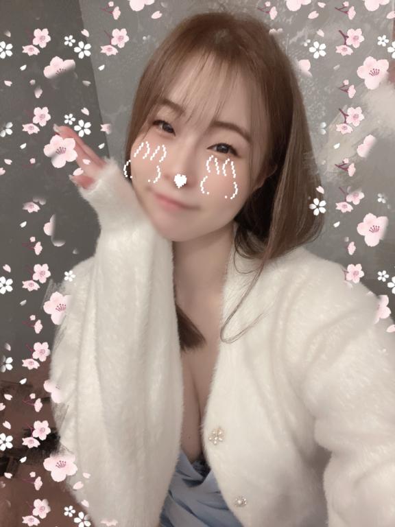🌷今日はなんの日