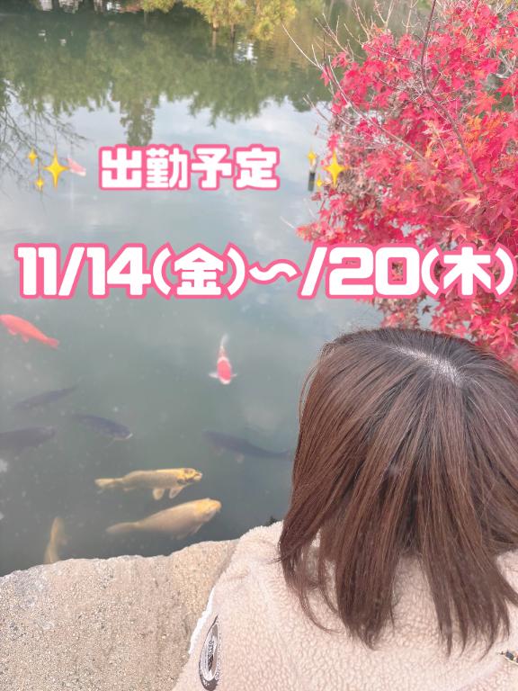 出勤予告🕺💗