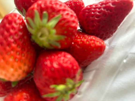 バレンタイン🍫