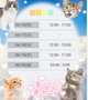 明日からの予定。。。