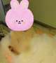 出勤してます♪
