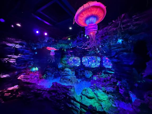水族館🐟